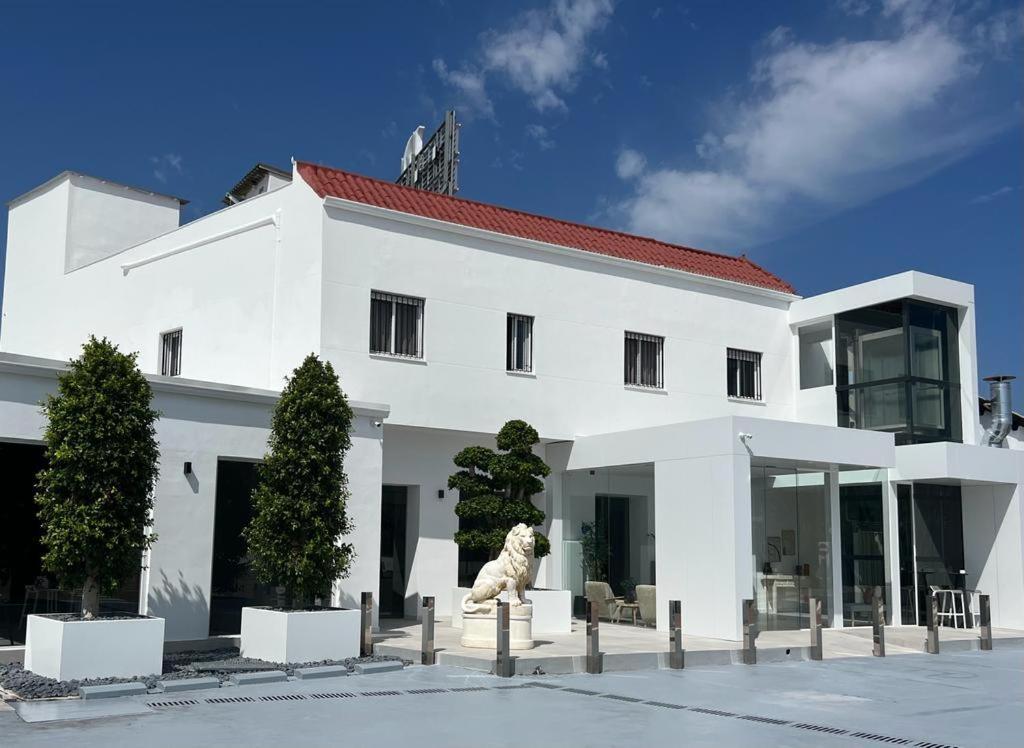 Don Leone Hotel Alginet エクステリア 写真